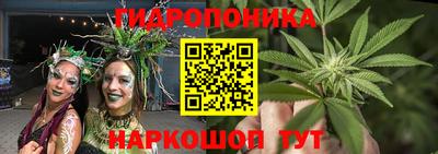 ECSTASY Донской