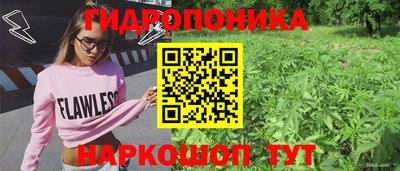 ECSTASY Донской