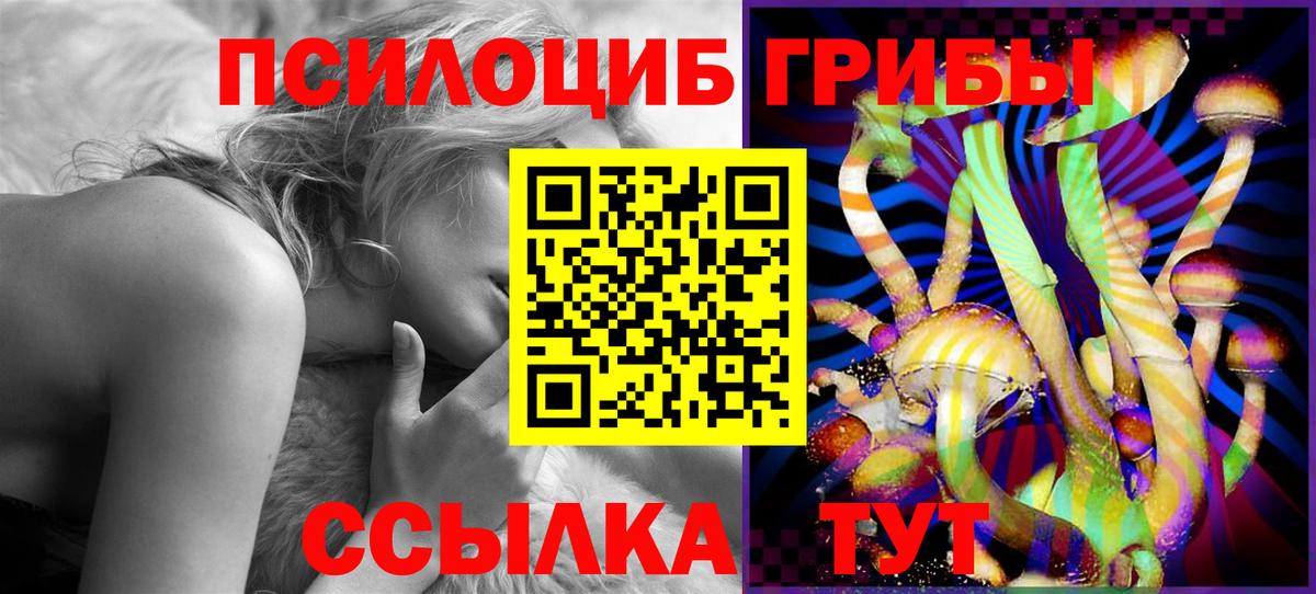 Псилоцибиновые грибы прущие грибы  Вход с VPN  Галлюциногенные грибы Psilocybe  Лесосибирск 