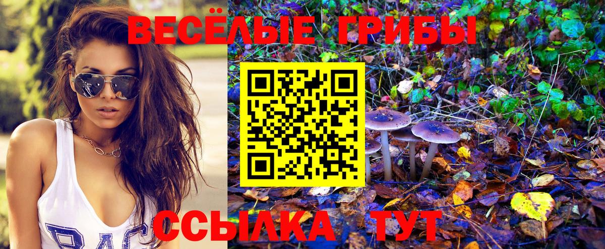Псилоцибиновые грибы GOLDEN TEACHER Лесосибирск